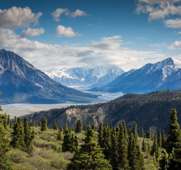 Services Service Img 03